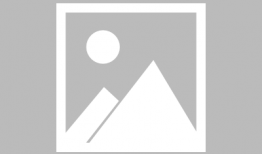 蓝鲸视频,揭秘海洋生物的神秘世界